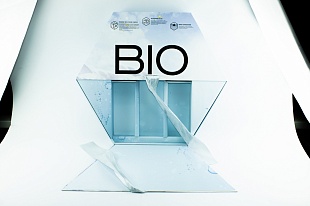 Кашированная коробка из переплетного картона шкатулка Bio Nyti