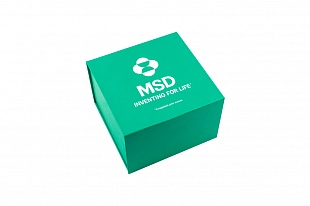 Коробка шкатулка MSD