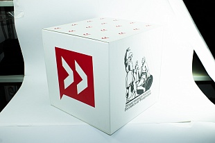 Коробка из картона Общественная палата 
