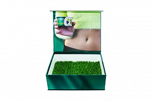Кашированная коробка из переплетного картона шкатулка Активиа зеленая